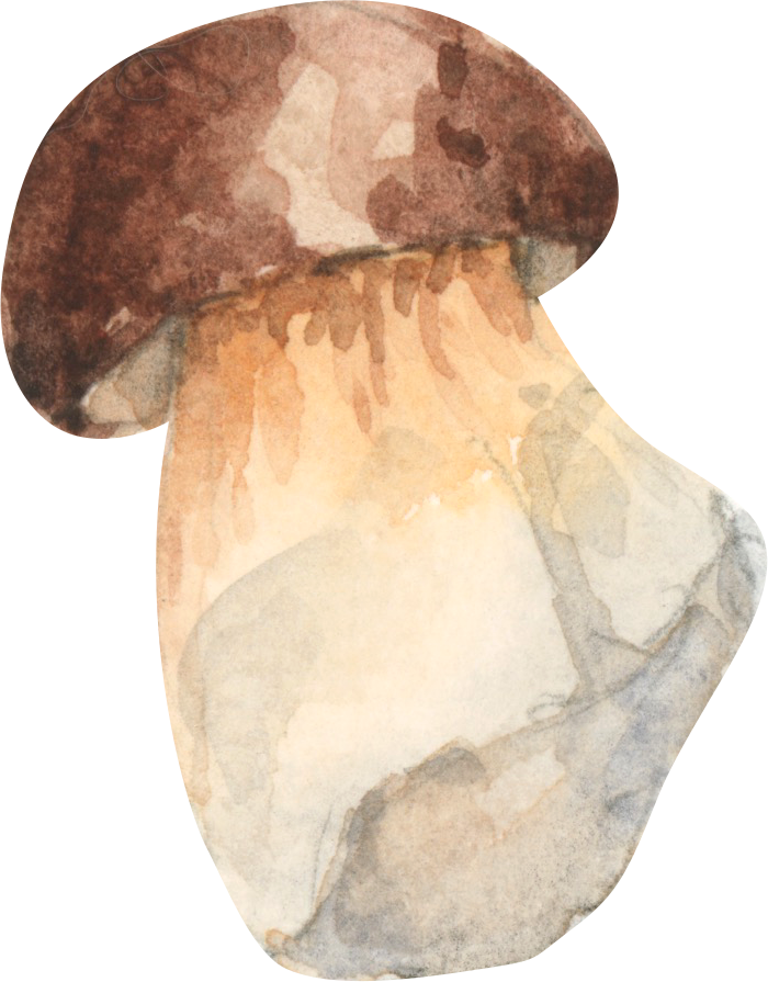 colored mushroom