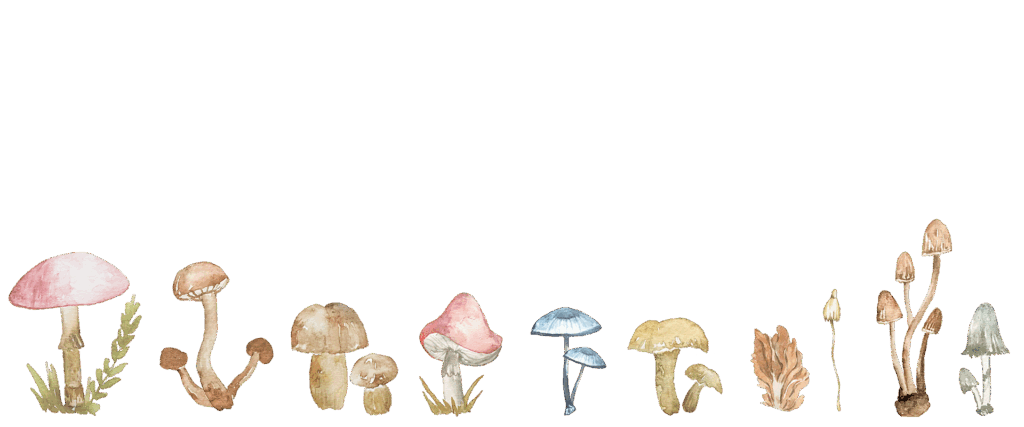 set of colored mushrooms